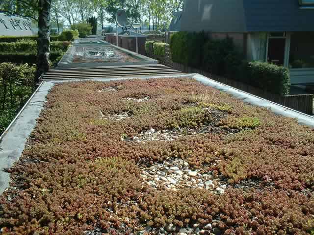 April 2004