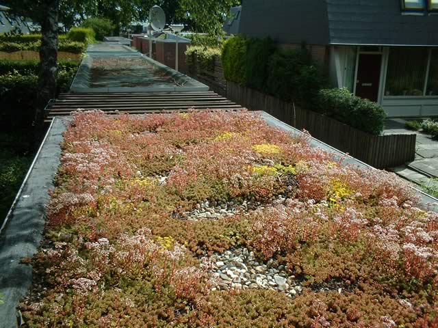 April 2004