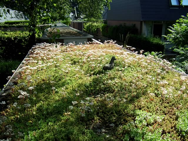 Juli 2005