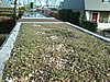 1 - 2004